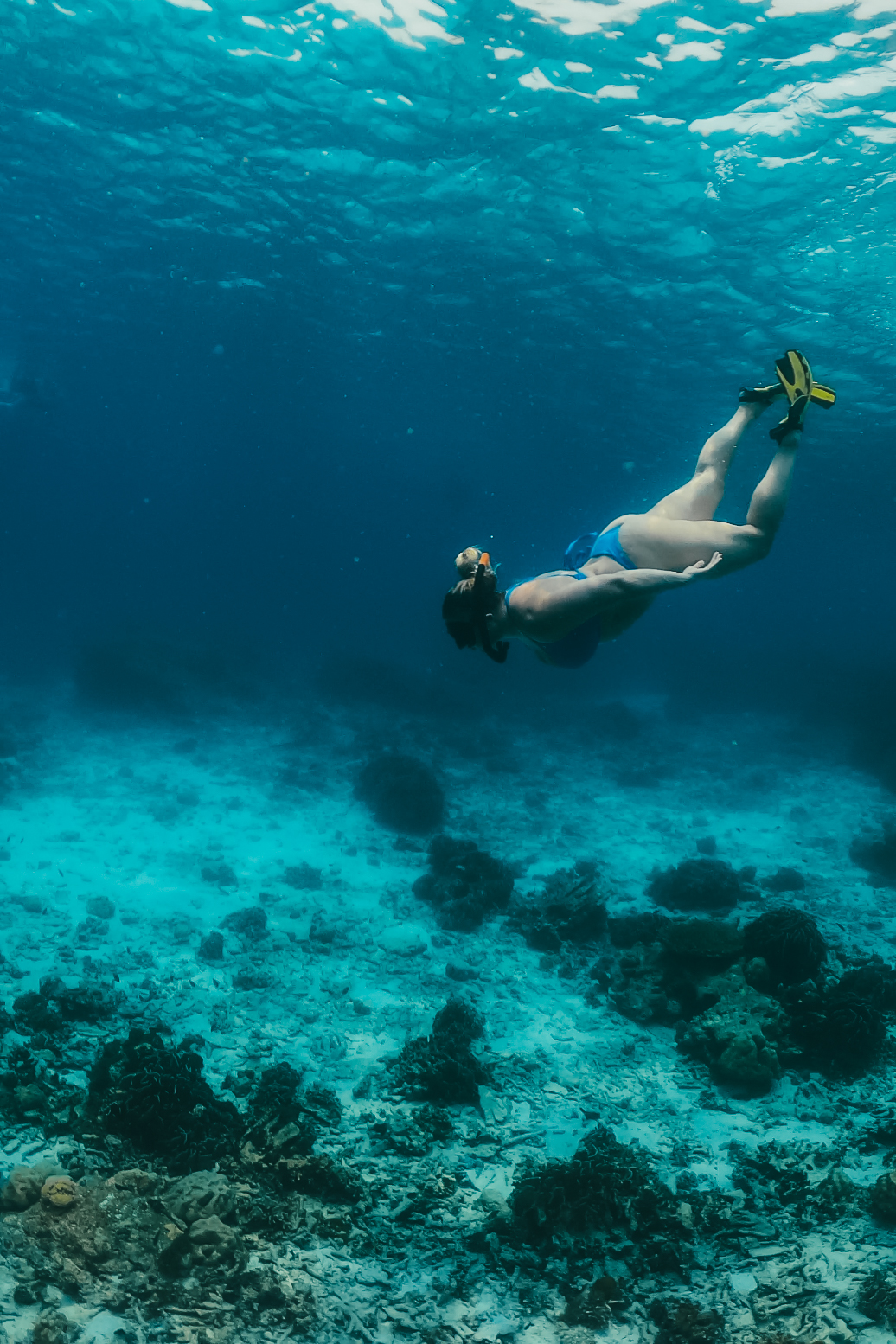 similan islands day tour