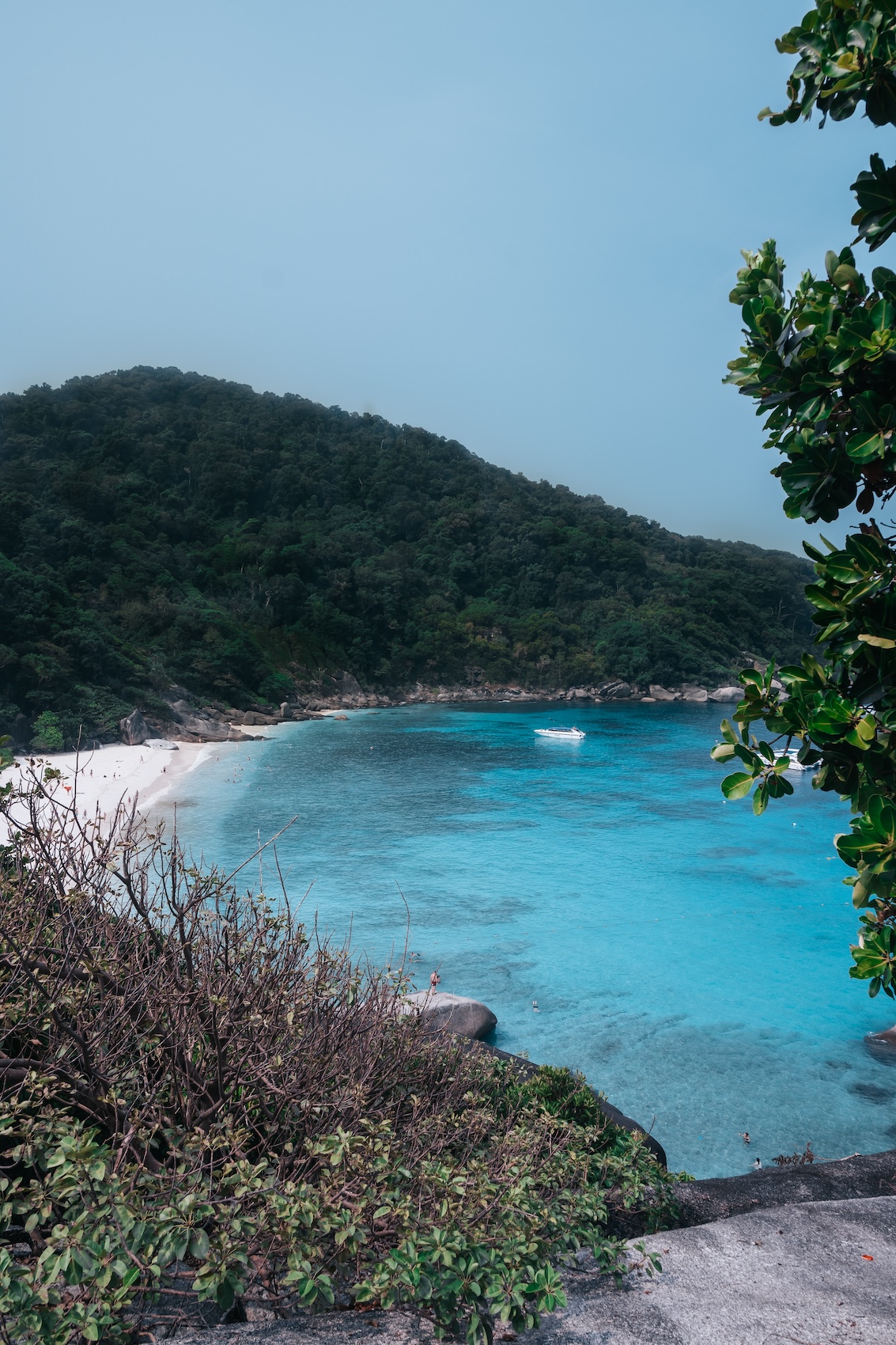 similan islands day tour