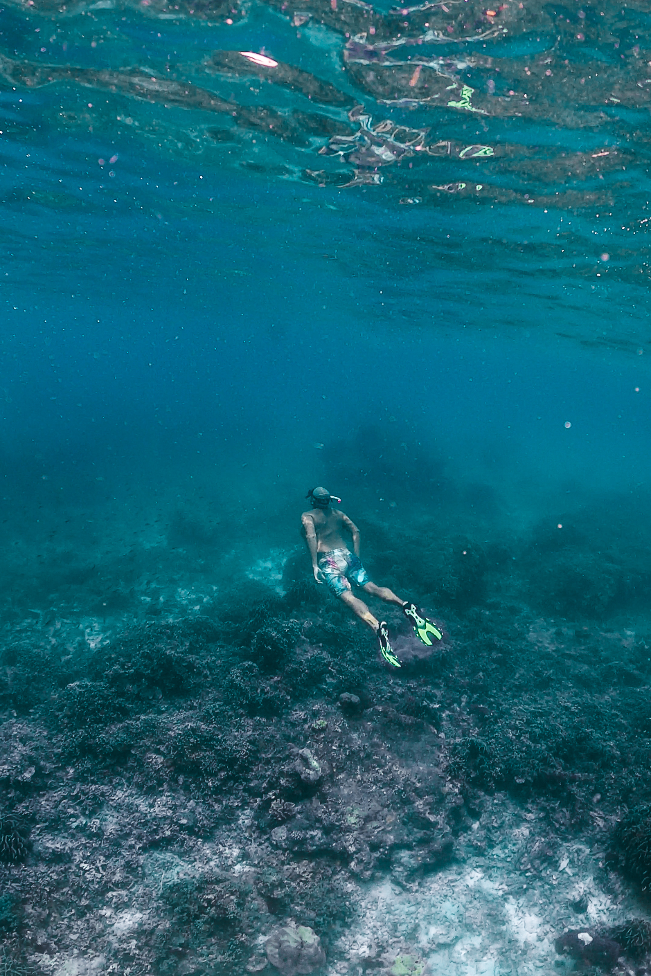 similan islands day tour