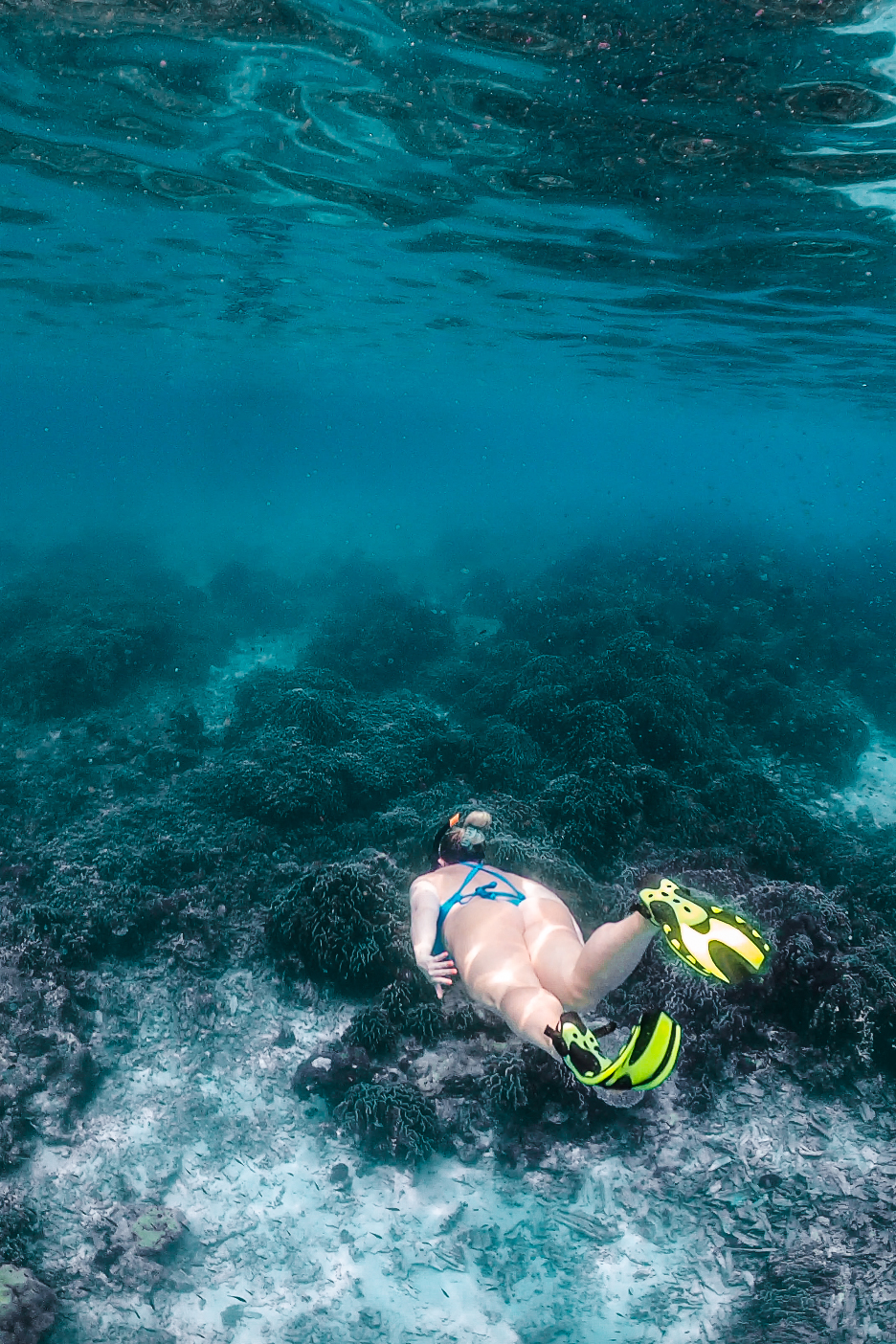 similan islands day tour