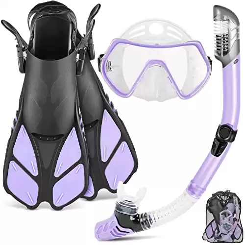 Travel Size Mask Fin Snorkel Set with Gear Bag